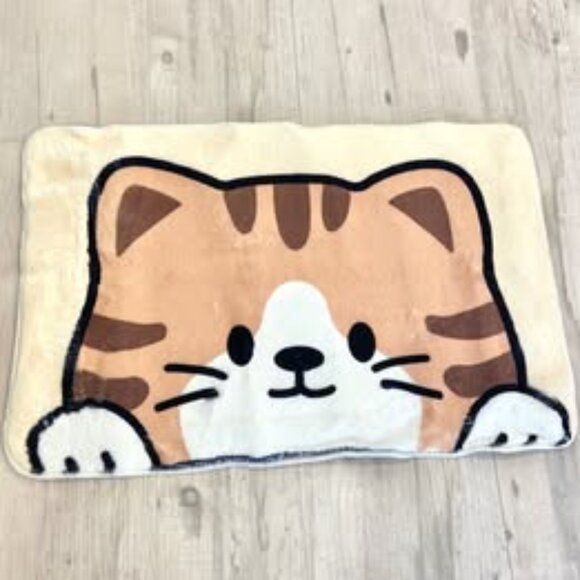 Other - Brand New Rug – 20" x 31" (50x80cm)